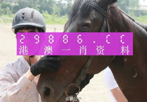 澳门一肖一码一特一中云骑士|绝对经典解释落实_高效版210.354