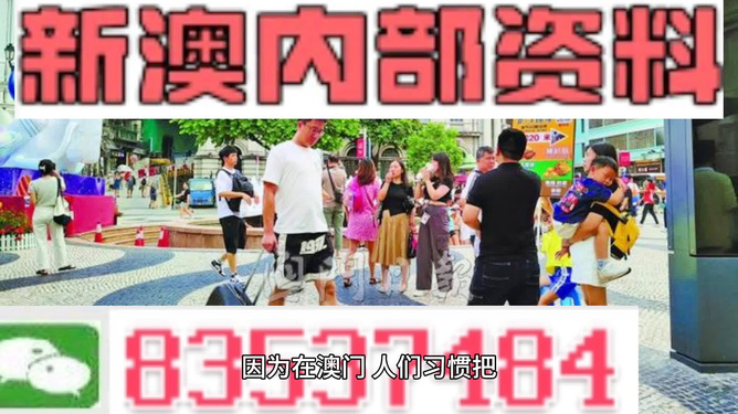 2024新澳精准资料免费提供网站|精选解释解析落实_专业版250.310