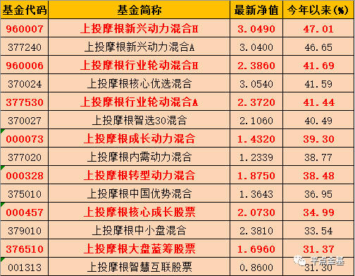 新奥门天天免费资料大全|构建解答解释落实_自定义版240.312