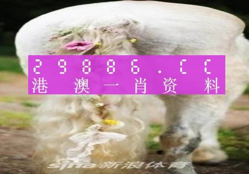 澳门火麒麟一肖一码2024|可靠研究解释落实_高效版260.282