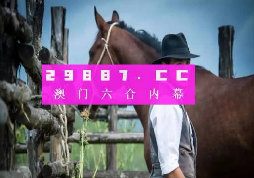 2024澳门精准四不像正版|绝对经典解释落实_高效版240.332