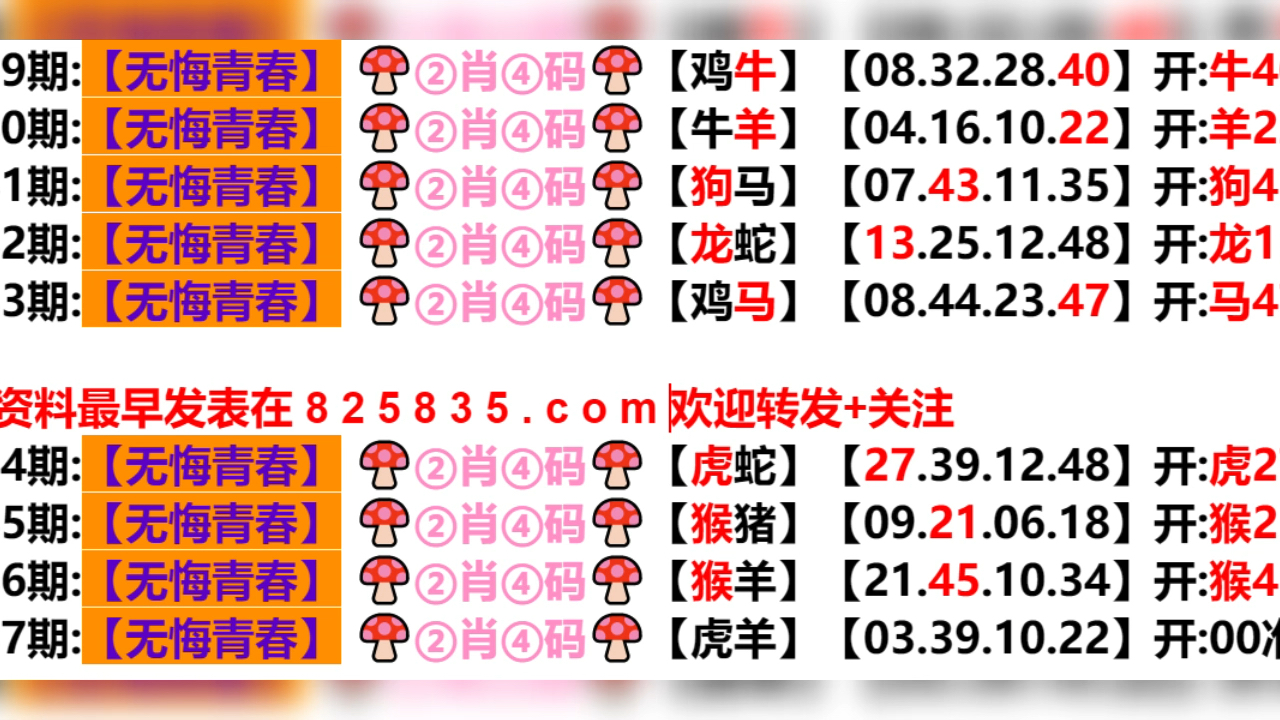 2024新澳门天天开好彩大全孔的五伏|词语释义解释落实