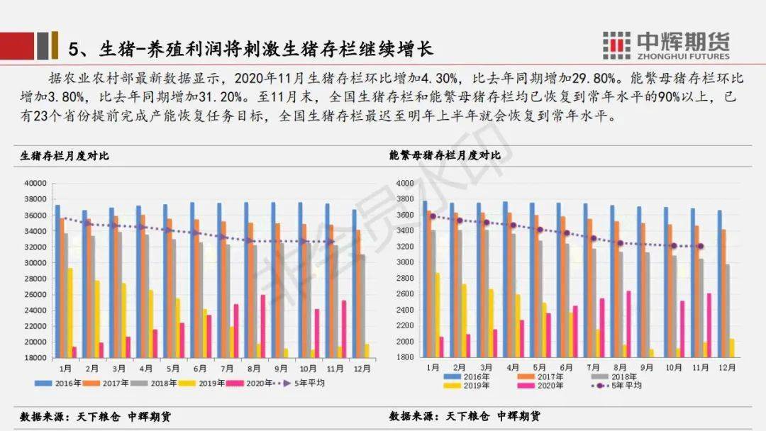 今日豆价最新行情分析