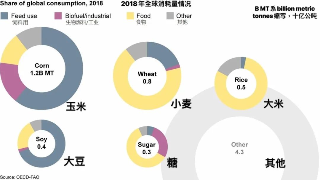 全球粮价最新动态及其影响分析