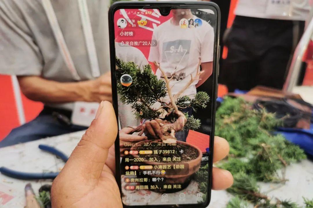 免费追剧的最新App，享受影视盛宴的最佳选择