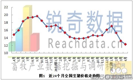 今日生猪最新猪价分析与展望