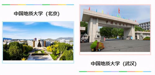 成都大学最新事件，聚焦热点，展现新时代高校风采