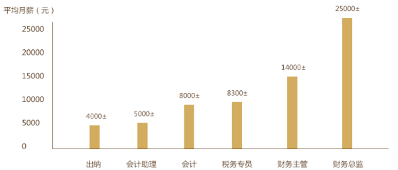 最新初级会计成绩公布，行业发展趋势与个人成长机遇