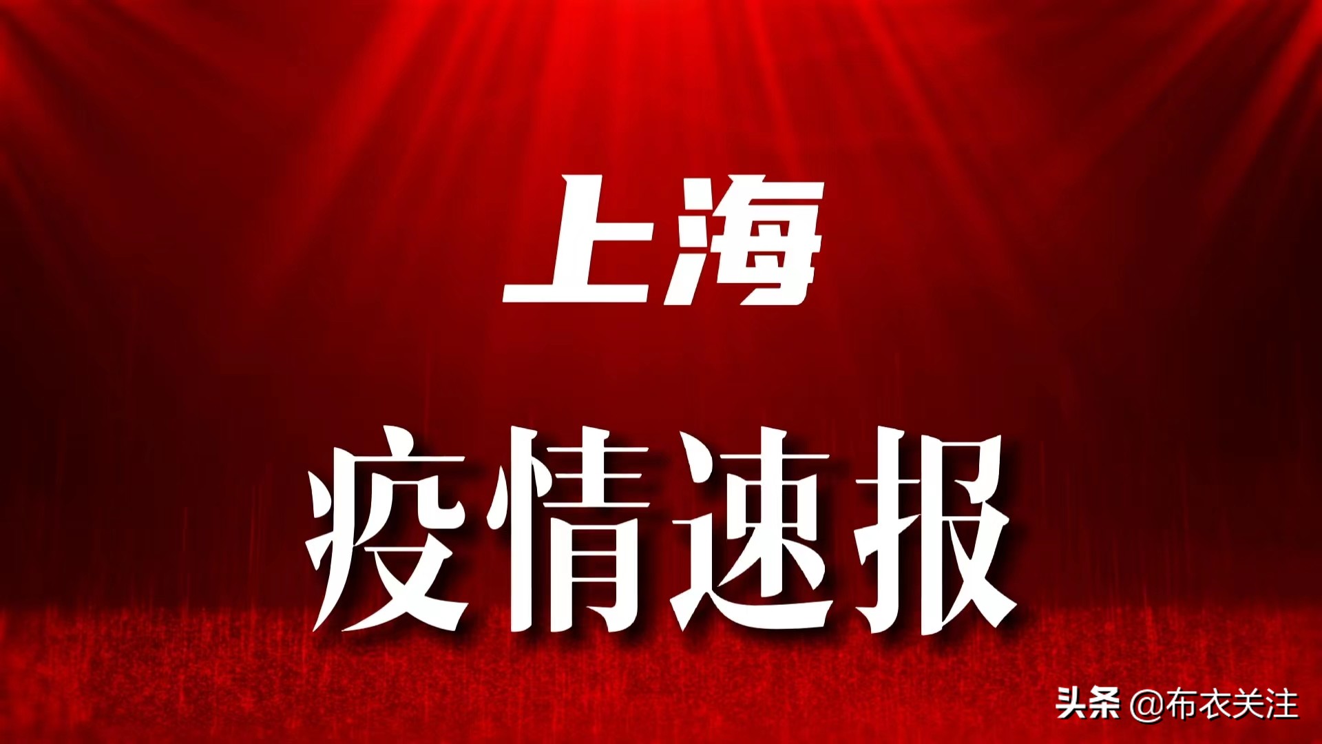 疫情最新通报动态上海，城市防控进展与未来展望