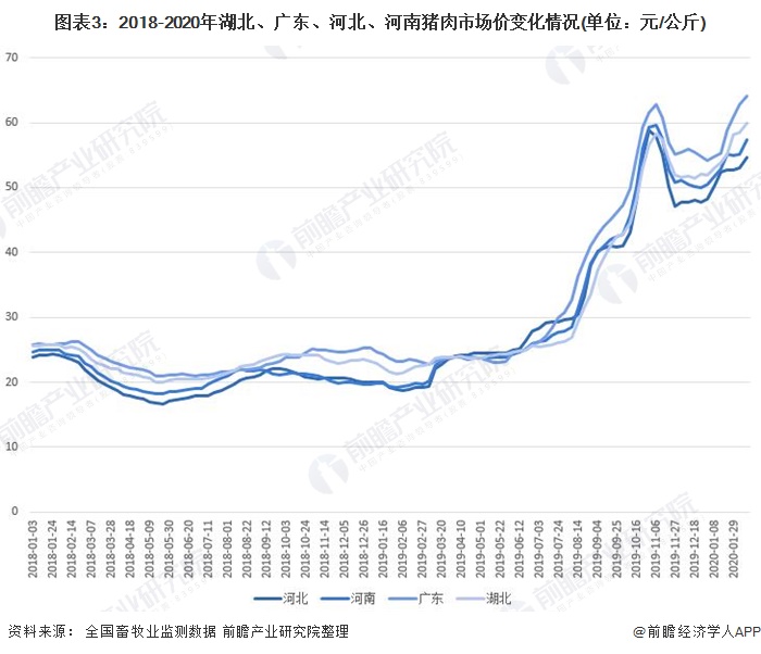 今日猪价最新表，市场走势分析与发展趋势预测