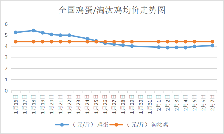 今日辽宁鸡蛋最新价格分析与展望