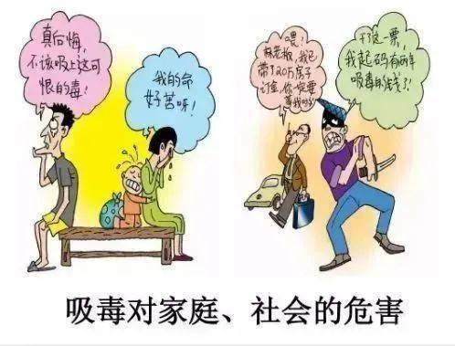 两毒并禁最新，构建无毒社会的双重防线