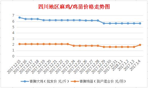 今日鸡苗最新报价——市场走势深度解析