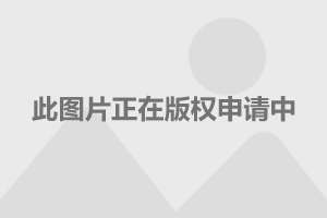 爱车之家2019最新报价，全方位解读汽车市场热门车型价格