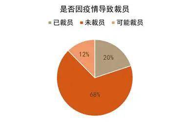 累龙江疫情最新报告，全面分析当前形势与应对策略