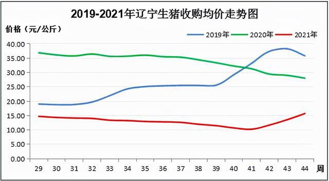 今日生猪最新价格，市场走势分析与预测