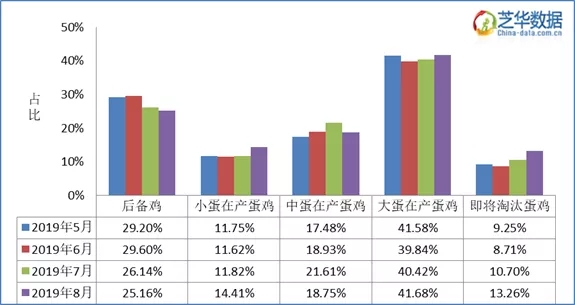 全国鸡蛋最新价格分析与展望