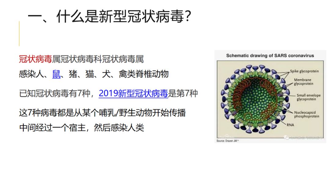 湛江新肺炎最新通报，疫情防控持续加强，全市人民齐心协力共克时艰