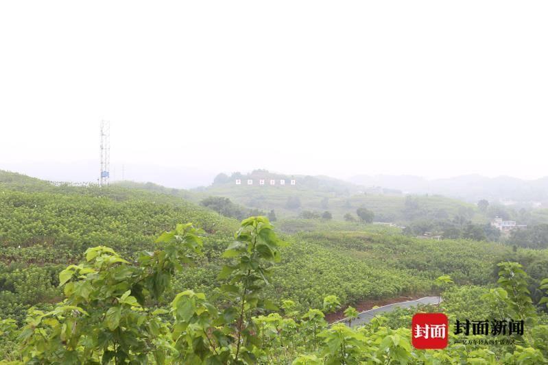 宜宾周边游最新热门景点推荐