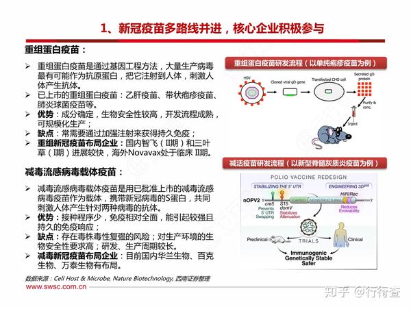 新冠疫苗最新变种，挑战与希望并存