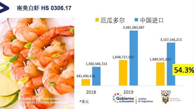 厄瓜多尔虾最新情况，繁荣、挑战与未来发展