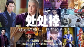 探索配音师的新领域，最新版配音师的角色与挑战