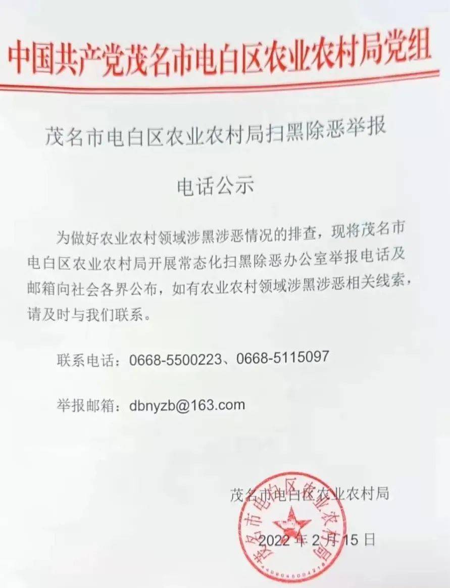 电白最新黑名单，揭示与应对